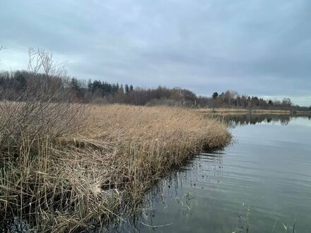 Rarität für Naturliebhaber! Grundstück mit ca. 14.500 m² mit direktem Zugang in den Pilsensee