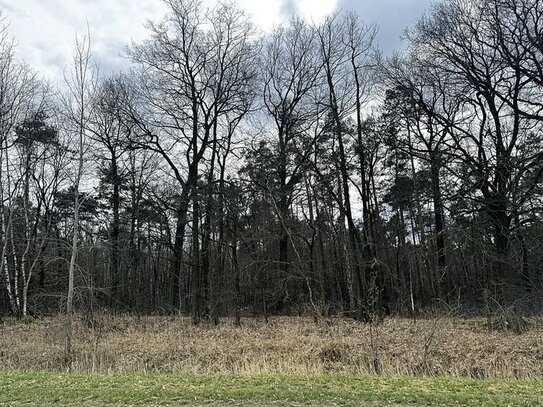 1,2 ha Splitterflächen (Wald-, Landwirtschafts- und Wegeflächen)