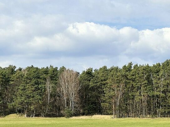 1,6 ha Splitterflächen/unbebaute Grundstücke (Waldflächen)