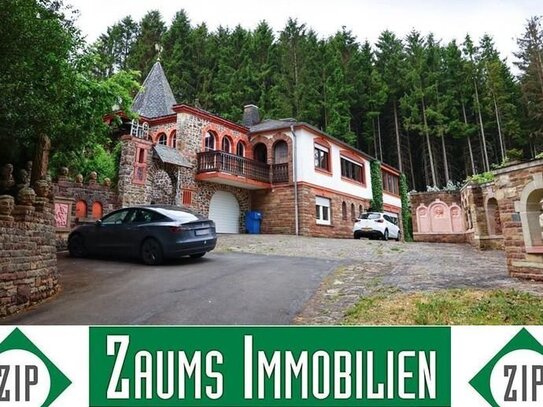 Villa mit ELW in Traumlage mit 2 Garagen, Balkon, 3 Terrassen, Außenschwimmbad, Burghaus, unverbaubare Fernsicht