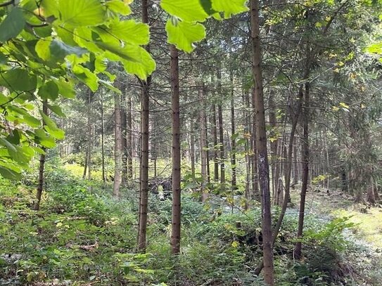 Waldgrundstück im Gemeindebereich Drachselsried