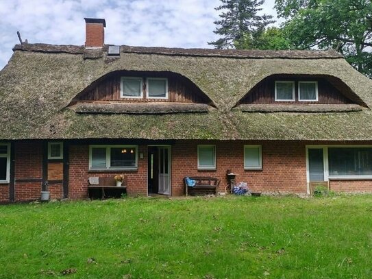 Historisches Bauernhaus mit Reetdach Fachwerk und ca. 5.595 m² Grundstück