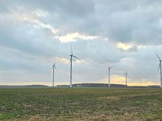 Agrarflächen mit rentabler Windenergieanlage