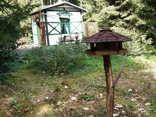 Idyllisches Waldgrundstück mit kleinem Haus nahe Zeulenroda