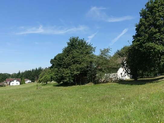 Älteres Anwesen m. ca. 5.000 m2 Grund in Alleinlage nur ca. 3 km v. Deggendorf/Metten