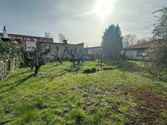 Wunderschönes Grundstück mit Altbestand in Kühlungsborn