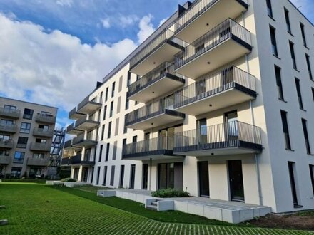 Neubau - mit Balkon & hochwertiger EBK