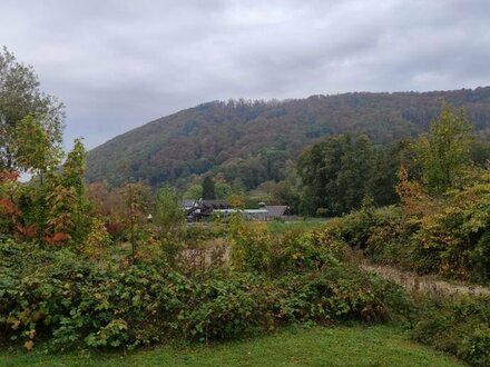 Traumhafte Investmentchance in Badenweiler: Geplantes Mehrfamilienhaus mit 9 Wohneinheiten!