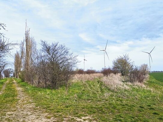 Grün- und Landwirtschaftsfläche