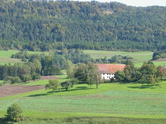 Landlust! Historischer Bauernhof in Alleinlage. Prächtiges Anwesen mit Ausbaupotenzial und herrlicher Fernsicht in male…