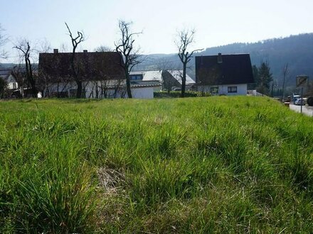 Hier gibt es keinen Grund zum Zögern - Bauplatz günstig, groß und schön gelegen