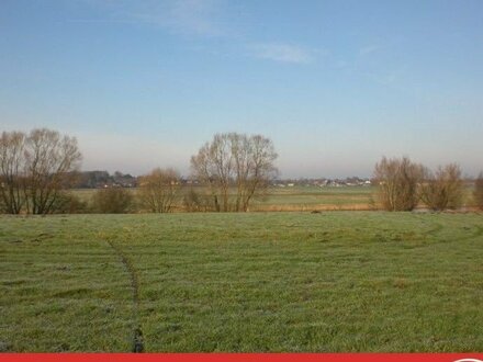 1,1 ha Wiesenland in Breiholz