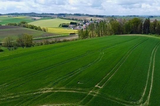 Land und Forstwirtschaft in Eching , Niederbay (84174)