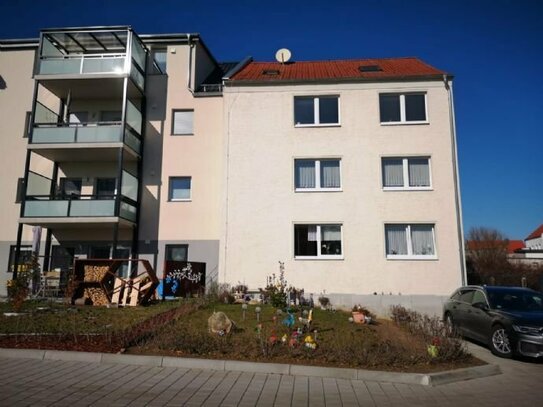 Renovierte 3 Raum Wohnung mit Blick auf den Flickschuhpark