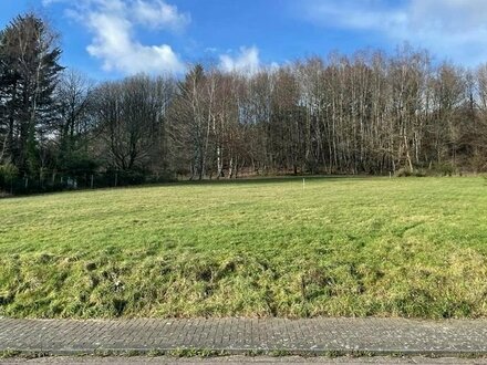 Bestpreisgarantie bei Bien-Zenker - Naturblick in Bexbach-Höchen