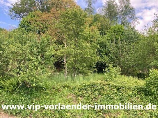 VIP-1350 Baugrundstück mit Fernblick in Höhenlage von Rosbach!