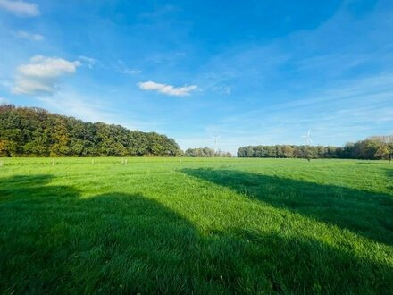 Pferdehaltung und mehr! Großer Landwirtschaftlicher Betrieb mit Zweifamilienhaus, 3,4 ha Eigenland (erweiterbar) u.v.m.!