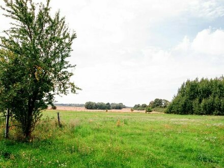 Attraktives Landhaus (Reetdach)in Alleinlage und Ostseenähe mit arrondierten Weideflächen