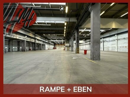 SCHNELL VERFÜGBAR - RAMPE + EBEN - Lager-/Logistikflächen (7.000 m²) zu vermieten
