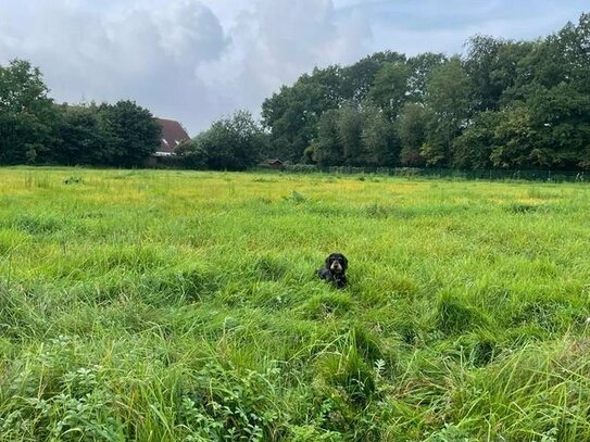 Leben in traumhafter Lage von Ellerau