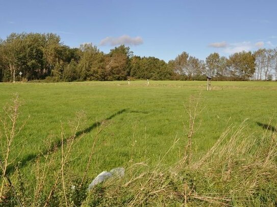 Bad Münstereifel: Sonniges 1350 qm großes Südwest-Eckgrundstück mit grünem Fernblick!