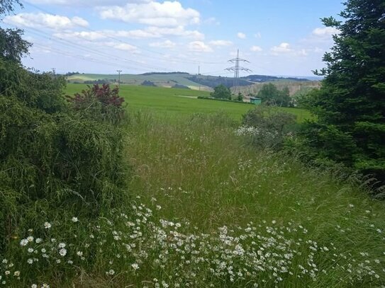 Verkauft wird ein schönes bebaubares Grundstück und ein Hektar Ackerland in Bernsdorf bei Saalfeld