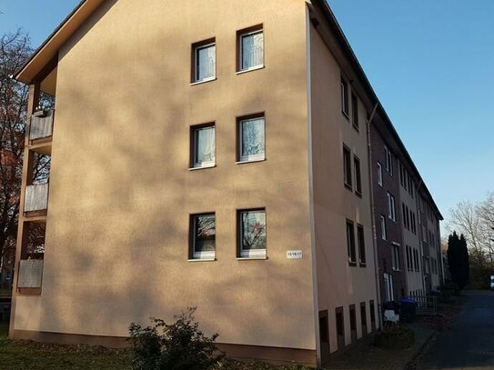 Neu renovierte 3,5 Zimmer Wohnung