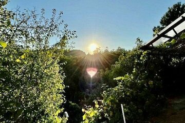 In 6 Minuten im Gewerbegebiet Im Camisch: Bauträgerfreies Baugrundstück in Rothenstein zu verkaufen