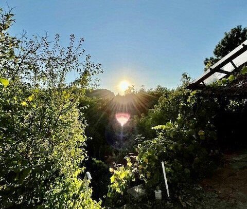 In 6 Minuten im Gewerbegebiet Im Camisch: Bauträgerfreies Baugrundstück in Rothenstein zu verkaufen