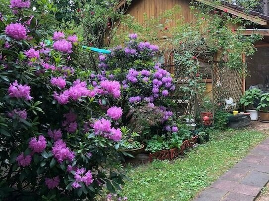 IMMOBERLIN.DE - Herrliche Naturlage! Wochenend-/Feriengrundstück mit Holzhaus