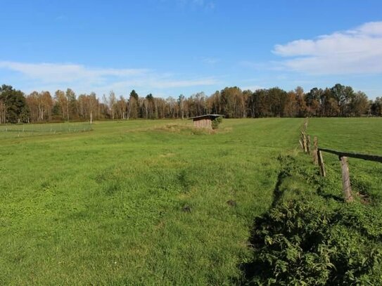 Grundstück ohne Baurecht mit Holzhütte und Bachlauf - gute Zufahrt im Weilheimer Moos