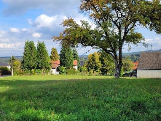 Großes Grundstück in Großerlach zu verkaufen!