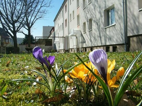 Ihr neues Zuhause wartet schon! - Bezugsfertige und geräumige Wohnung im Zentrum