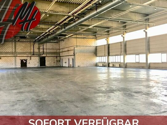 SCHNELL VERFÜGBAR - Lagerflächen (1.500 m²) & Büroflächen (250 m²) zu vermieten