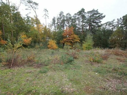 Heidesee OT Kolberg - Grundstück ohne Bauträgerbindung