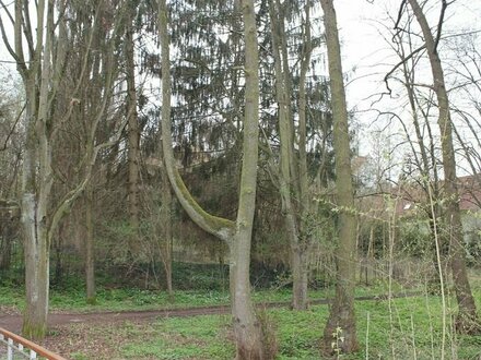 Attraktives Baugrundstück in Bad Wildungen