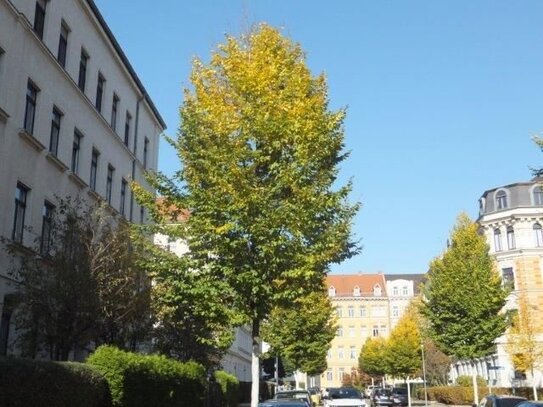 Elegante, helle und schön gelegene 5-Zimmer-ETAGENWOHNUNG mit Balkon in Gohlis