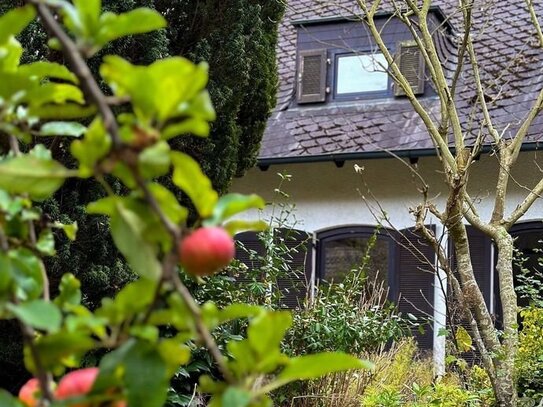 +++ Unternehmervilla in Traum Lage am Godelsberg +++