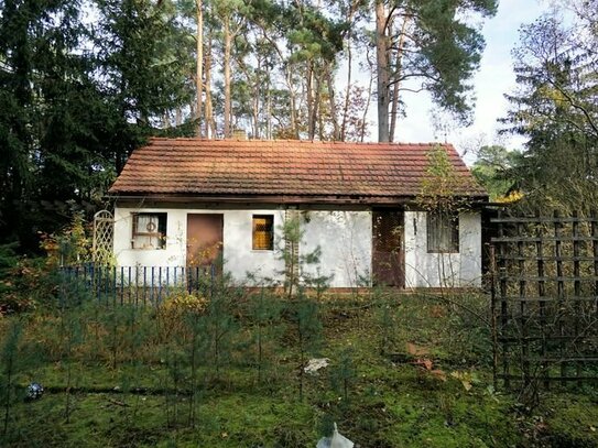 Ein großes Baugrundstück mit altem Wochenendhaus inkl. Nebengelass in der Waldgemeinde Borkheide