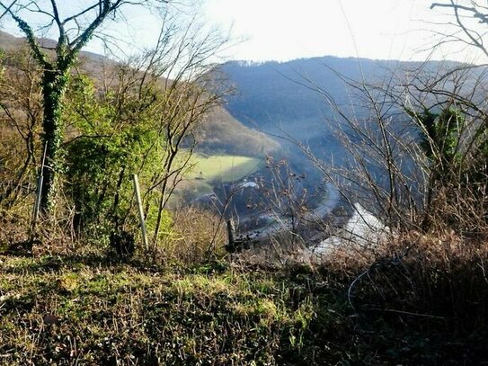 Baugrundstück mit einmaliger Sicht auf die Saar in ruhiger Lage