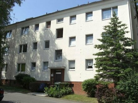 3-Zimmer-Whg. mit Balkon - neu renoviert