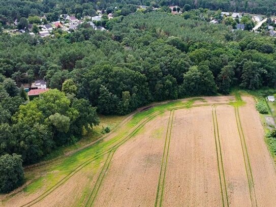 Waldgrundstück - nahe an Wohnsiedlung im Berliner Speckgürtel