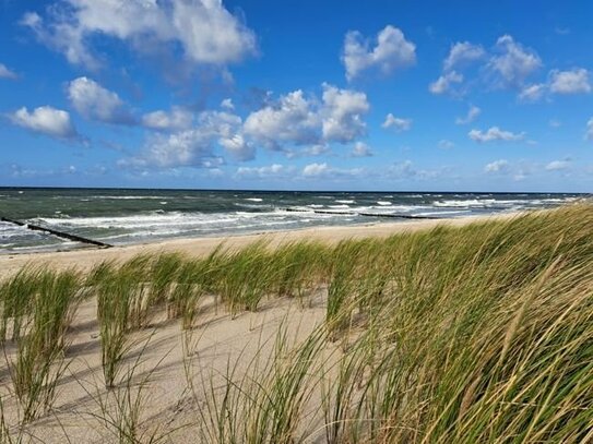 Eine Rarität direkt an der Ostsee zu verkaufen (Bei Interesse bitten wir um ein schriftliches Kaufpreisangebot)