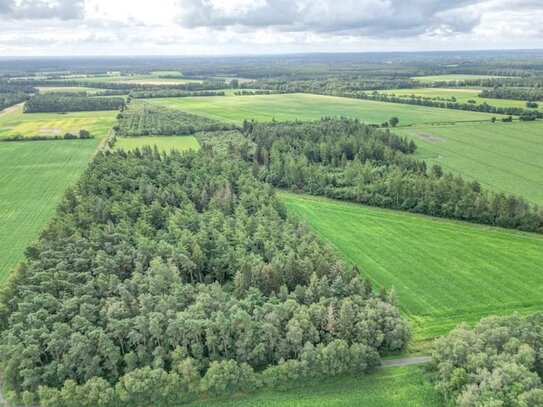 Waldfläche in Nordhorn / Hesepe