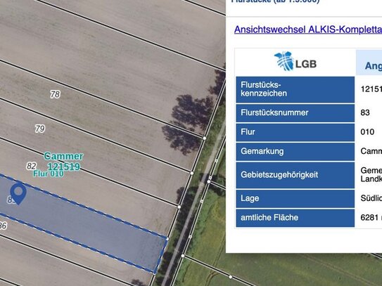 Land und Forstwirtschaft in Cammer b Brück, Mark (14822)