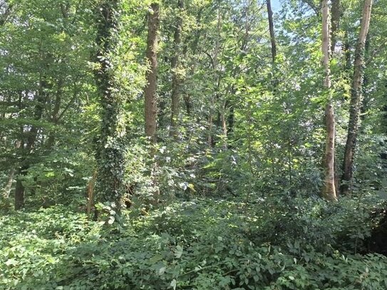 Kleines Waldgrundstück in Schwalmtal/Waldniel