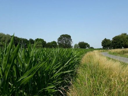 Flexibel nutzbares Ackerland am Ortsrand von Lippstadt-Bökenförde