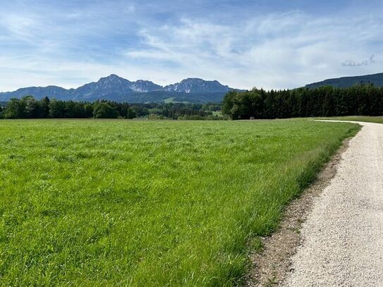 Gut gelegenes Acker-und Grünland in Ufering / Teisendorf