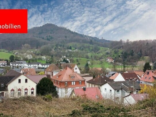 Erhaben residieren am Hang mit traumhaftem Ausblick in der Nähe von Weinheim!!!