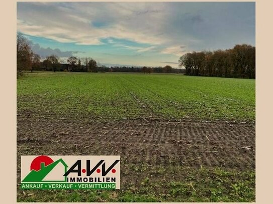 -Ramsloh- Ackerland/Weidefläche 3,7 ha